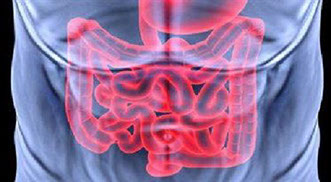 La maladie de Crohn et l'action de Faecalibacterium Prausnitzii